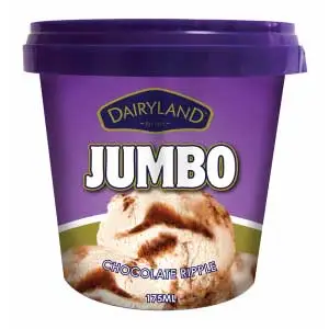 Dairyland Chocolate Ripple Ice Cream 175Ml